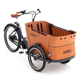 Antivol Vélo électrique AXA – Pour Babboe Curve Mountain – Neuf – Avec Serrure