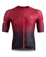 Maillot Manches Courtes Campagnolo Platino Bordeaux