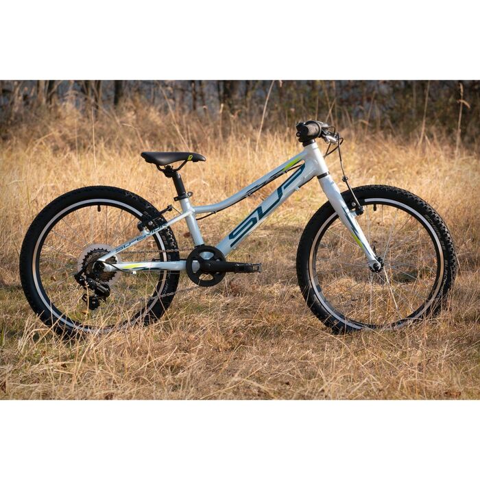 Vélo VTT Enfant 20 Pouces Acesunny - Garçon Fille Avec Freins Disque Et Transmission